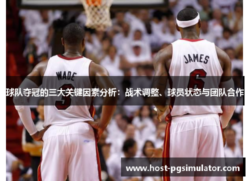球队夺冠的三大关键因素分析：战术调整、球员状态与团队合作
